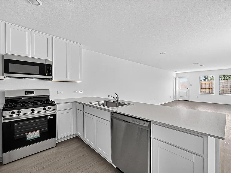 26827 Rosy Shimmer Ln — Photo 6