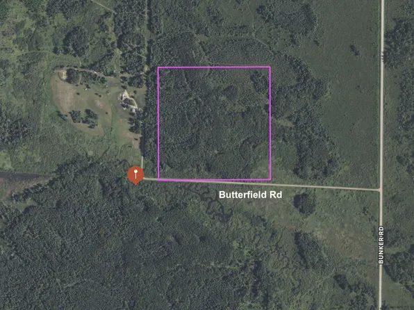 Butterfield Rd, Hibbing, MN 55746