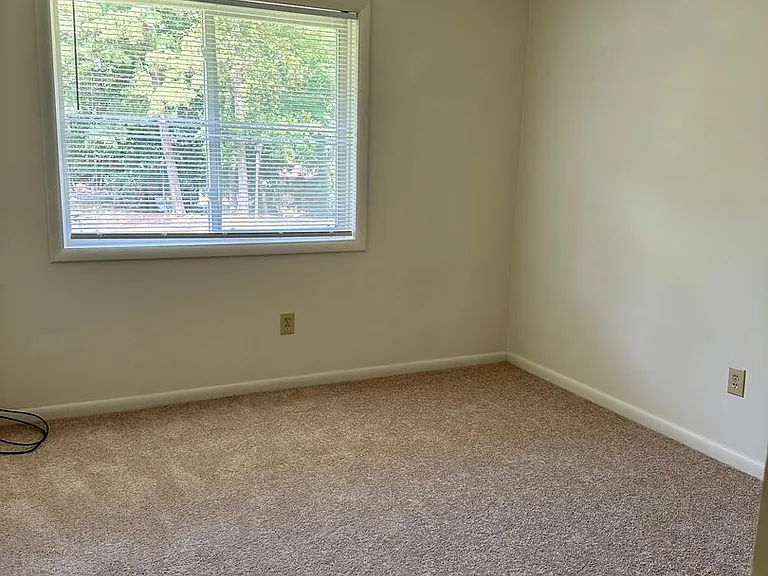153 Albemarle Dr — Photo 9