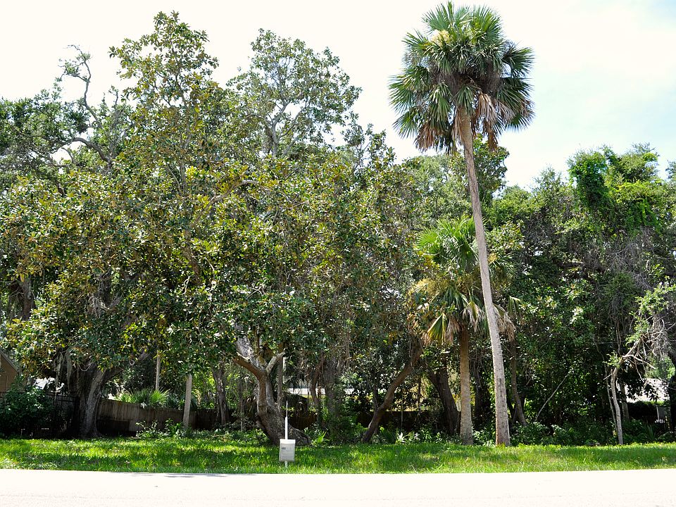 Frontal view of lot