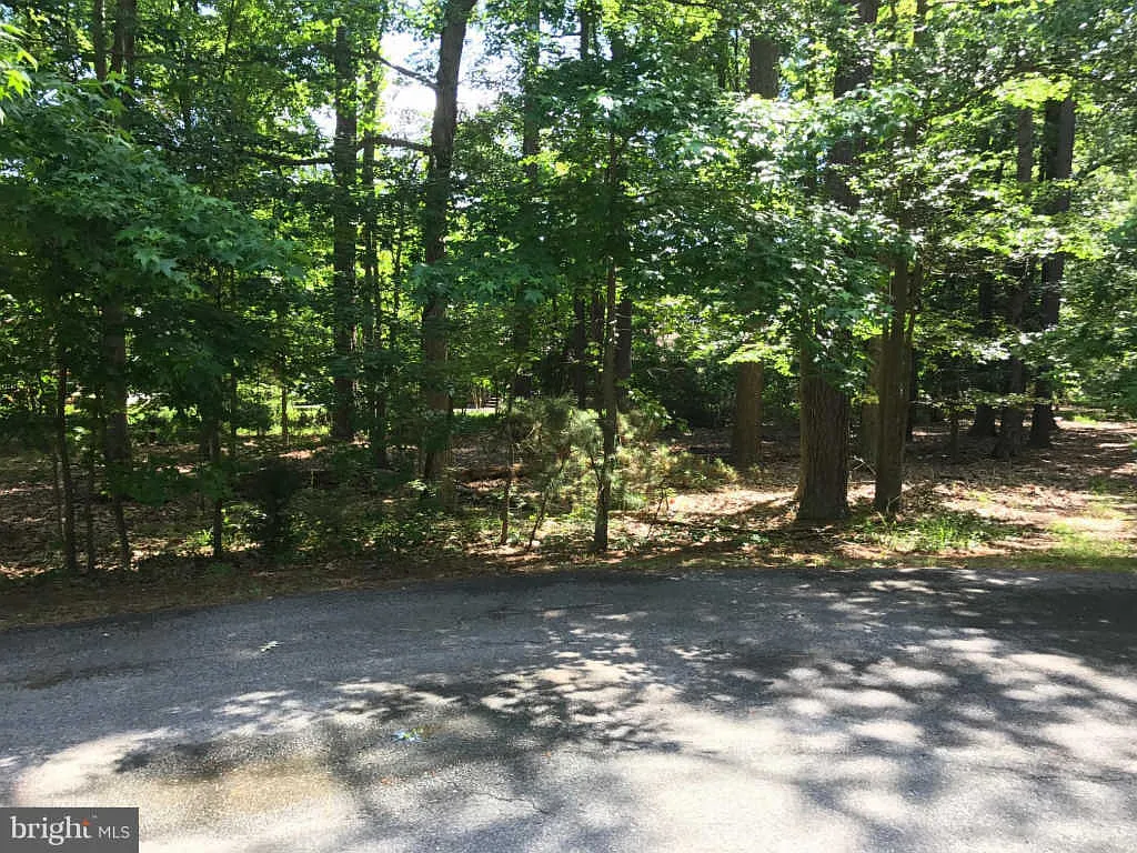 14840 Ivanhoe Ct photo 1