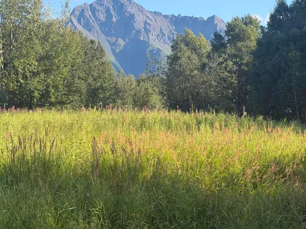 2937 S McCombs Rd, Palmer, AK 99645