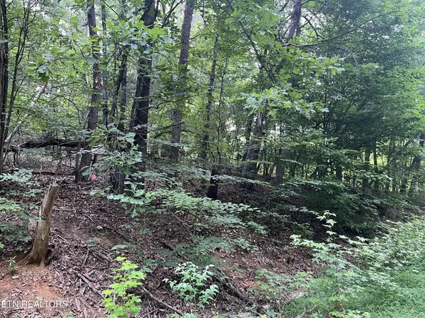 3278 Hillside Pl Lot 1427, White Pine, TN 37890