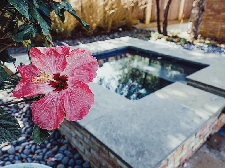 5301 W Mockingbird Ln — Photo 13