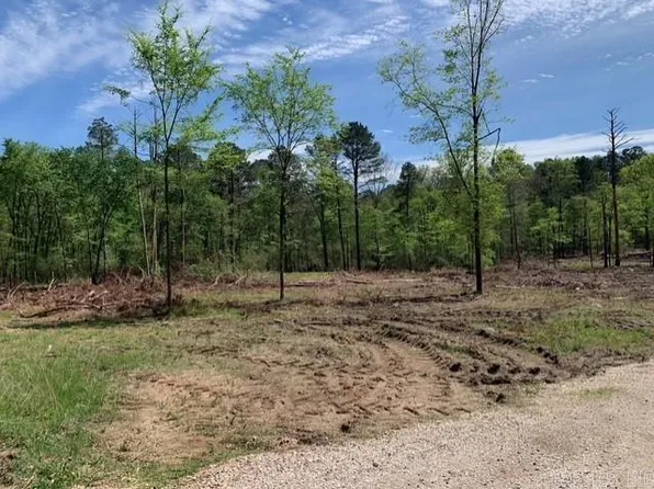 TRACT 1 Highway 11395 #84, Bismarck, AR 71929