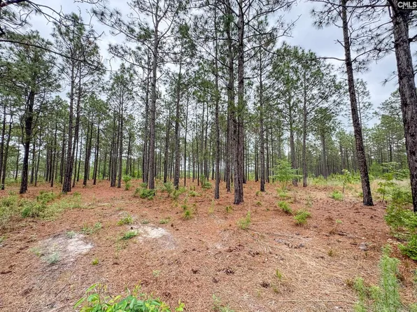 0 Neely Wingard Rd Lot 6, Gilbert, SC 29054