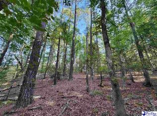 1020 S Scotch Rd, Chesterfield, SC 29709