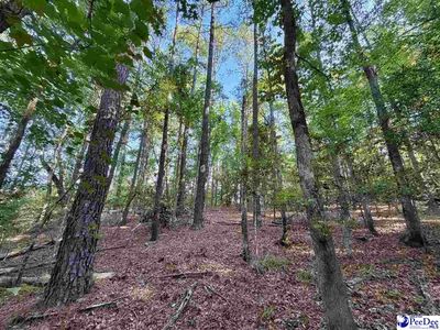 1020 S Scotch Rd, Chesterfield, SC, 29709
