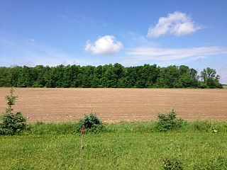 1st image of 5 Acres Sylvania Petersburg Rd