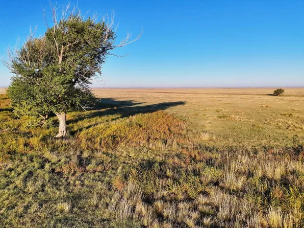 County Road 37, Holly, CO 81047