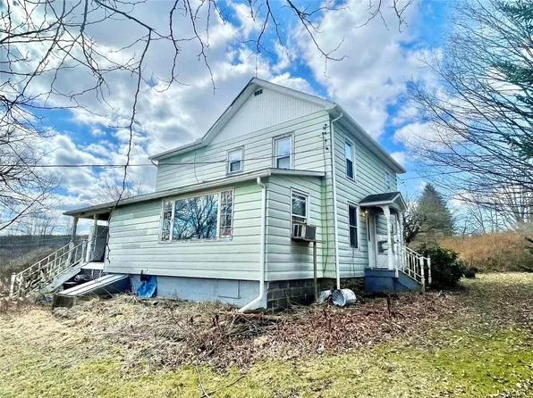 217 Campbell Hill Rd, Owego, NY 13827