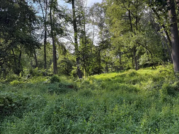 Cushion Peak Rd, Wernersville, PA 19565