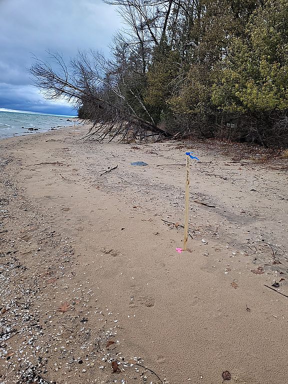 567 Yellow Birch Dr, Kewadin, MI 49648 Zillow