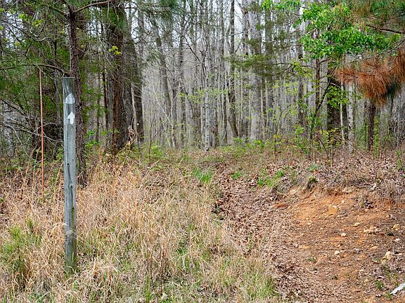 3rd image of 0 Natchez Trace Rd
