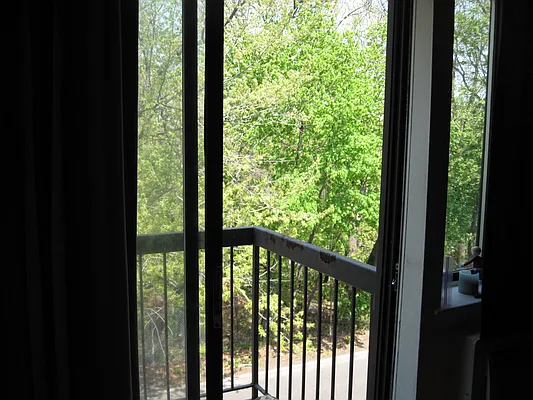 Rented by 18 REALTY | media 52