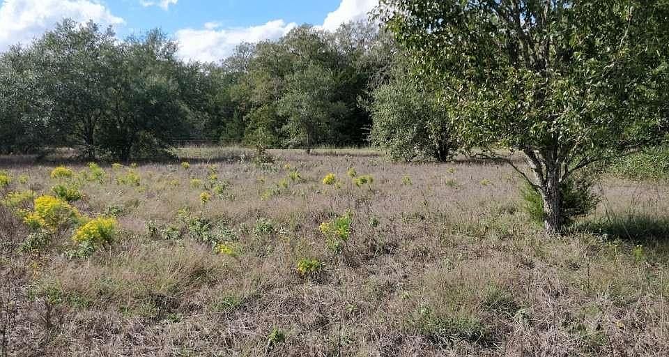 1st image of 1700 Jackson Rd