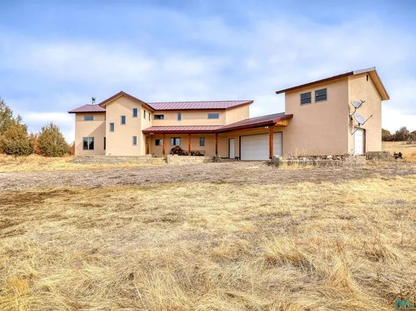 12 Horn Toad Rd, Chama, NM 87520