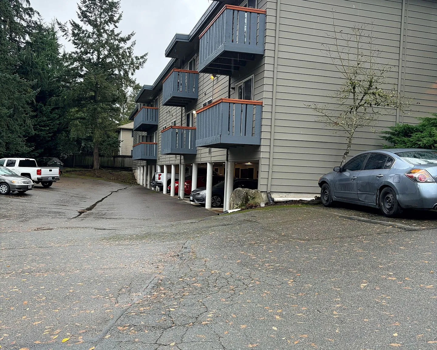 Interlakken Apartments — Photo 2