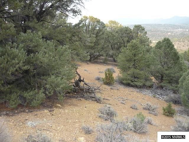 2nd image of 590 Phoenix Rd