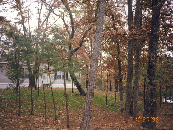 4th image of 368 Polk 57