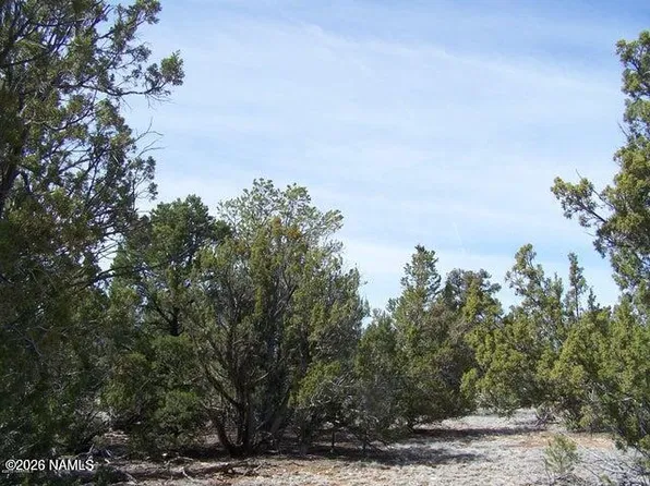 4685 N Cattle Guard Rd, Williams, AZ 86046