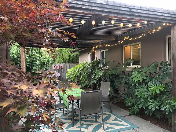 Backyard dining pergola