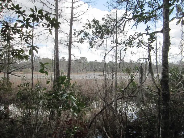 NE 114th Ave Lot 17, Fort Mc Coy, FL 32134