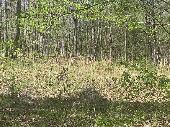 3rd image of 239 County Road 3027 #1