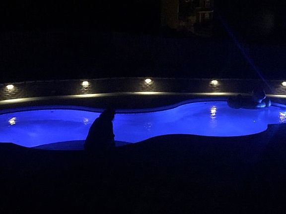 3rd image of 2921 Cambridge Shores Ln