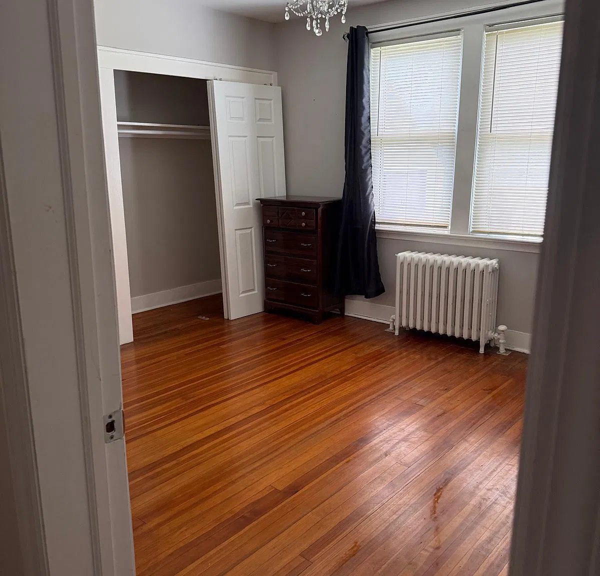 3 bed, $2,850 — Photo 3
