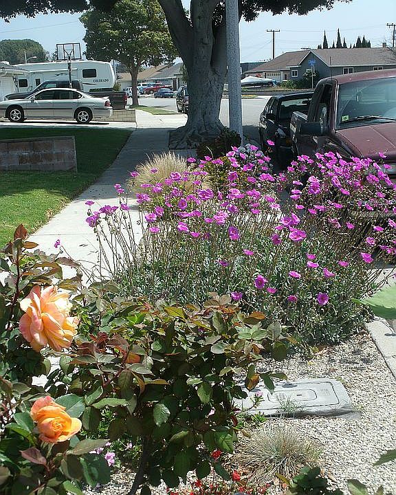 Frontyard curb