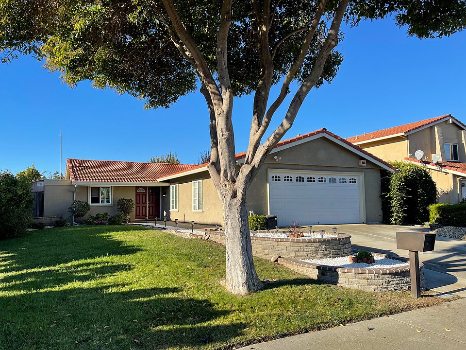 Attractive, easy-care front yard with minimal upkeep required