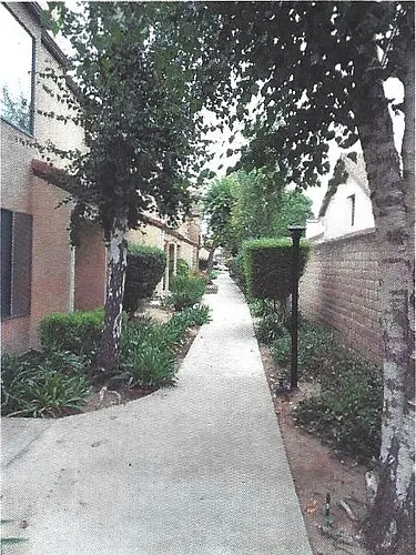 1224 Calle De Campo Photo 1 1224 Calle De Campo Photo 1