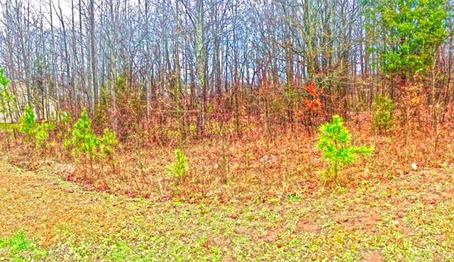 2nd image of LOT 8 Eagle Ridge Dr