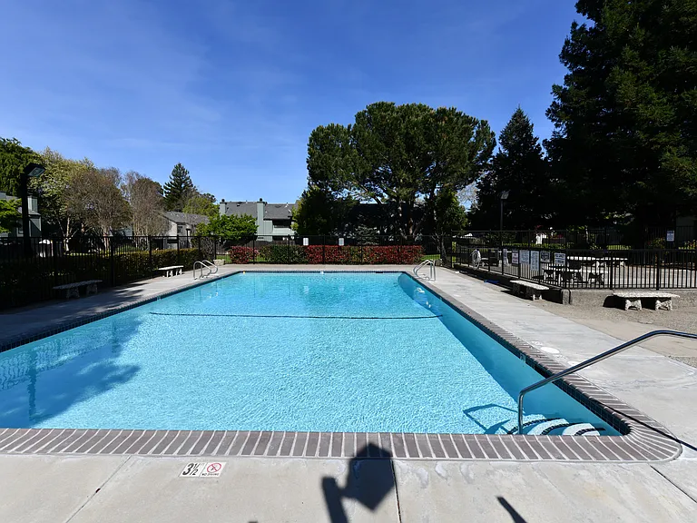 3636 Shelter Creek Dr — Photo 34