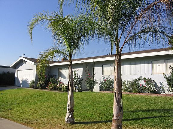 Front with palms and roses