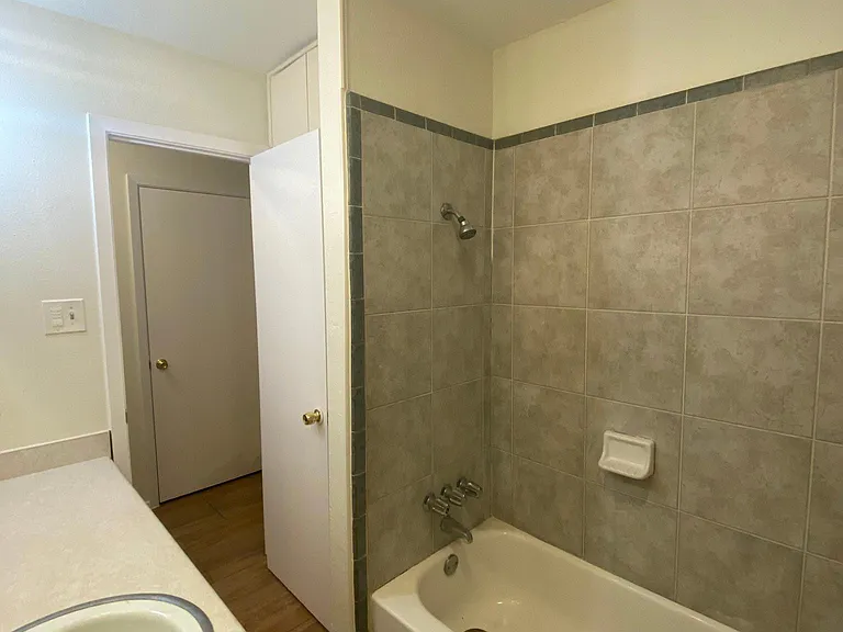 Hall bathroom