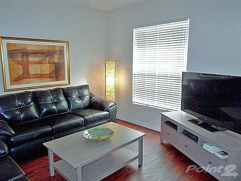 Expansive Formal Living Room