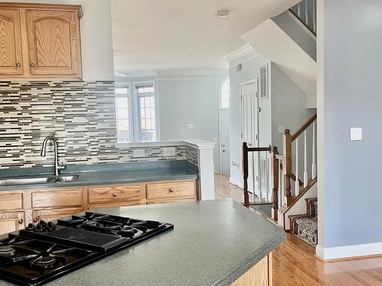 5370 Blue Aster Cir — Photo 3