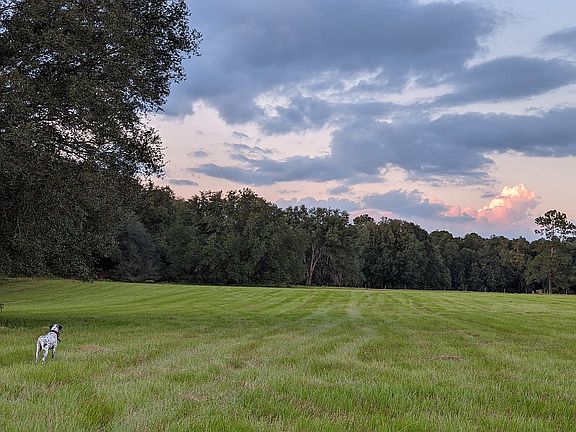 3rd image of 12603 Us Highway 129