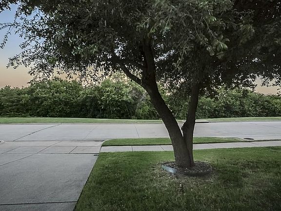 2nd image of 652 Palomino Way