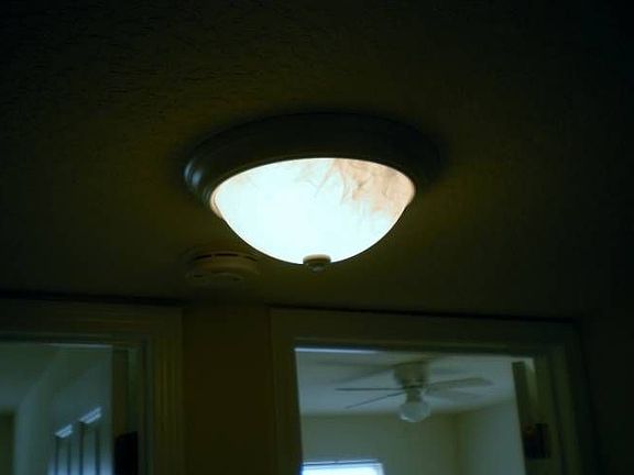 Elegant Globe Lighting