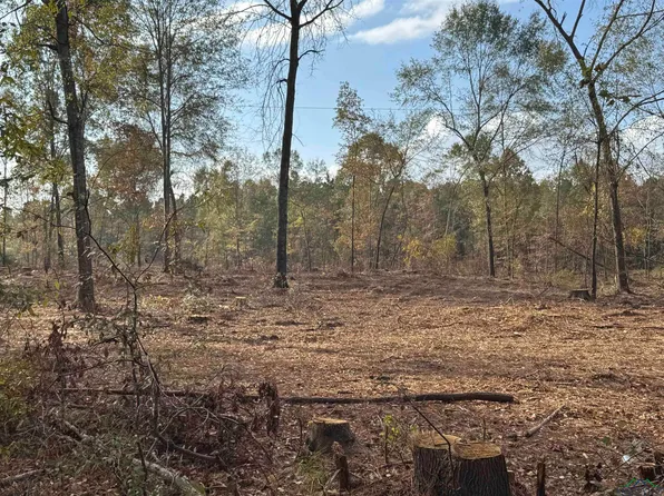 LOT 5 County Road 4108 W, Henderson, TX 75654