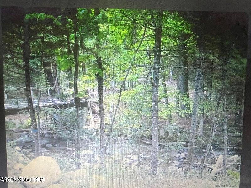 3rd image of L1.2 Trout Brook Road