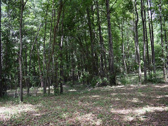 3rd image of 303 Old Highway 25 W #2A