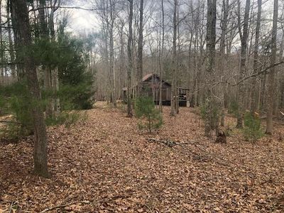 241 Lindsey Ln, Wellington, KY, 40387