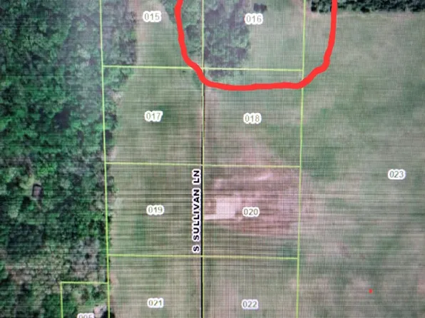 LOT 16 S Sullivan Ln, Newaygo, MI 49337