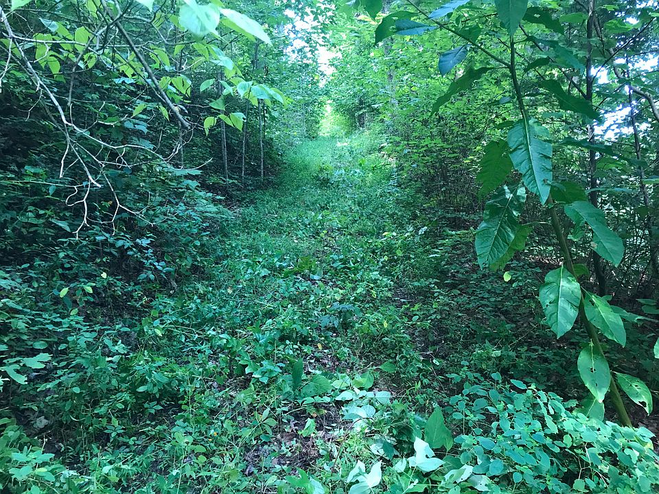 Boiling Springs Rd 1, Vonore, TN 37885 MLS 1166699 Zillow