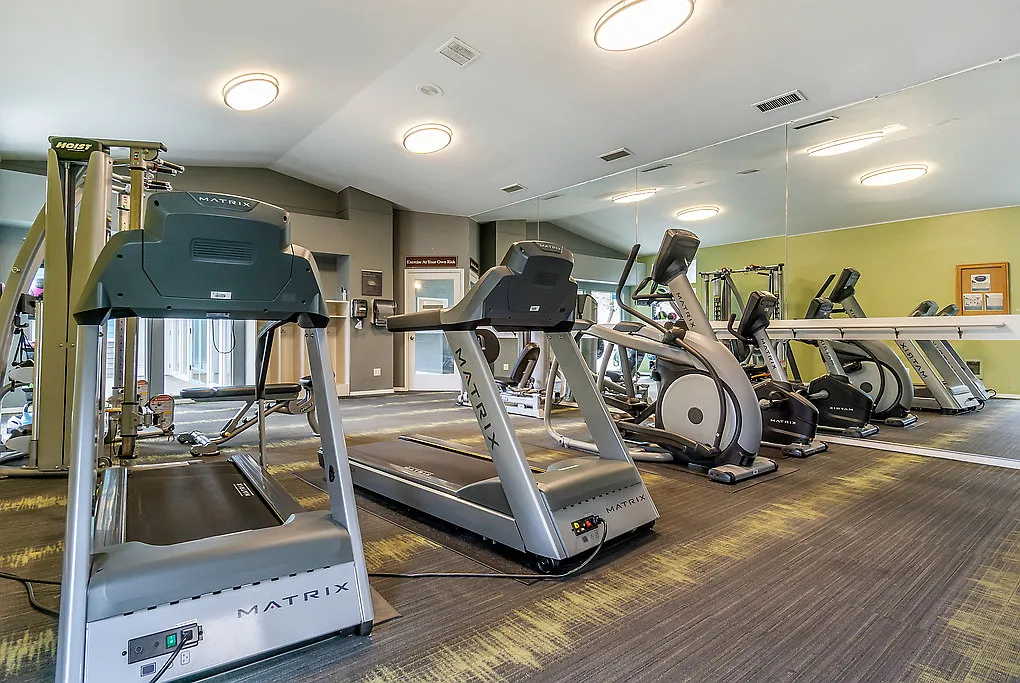 Canyon Pointe — Photo 4