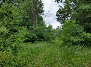 11365 Schultz Dr, Delton, MI 49046